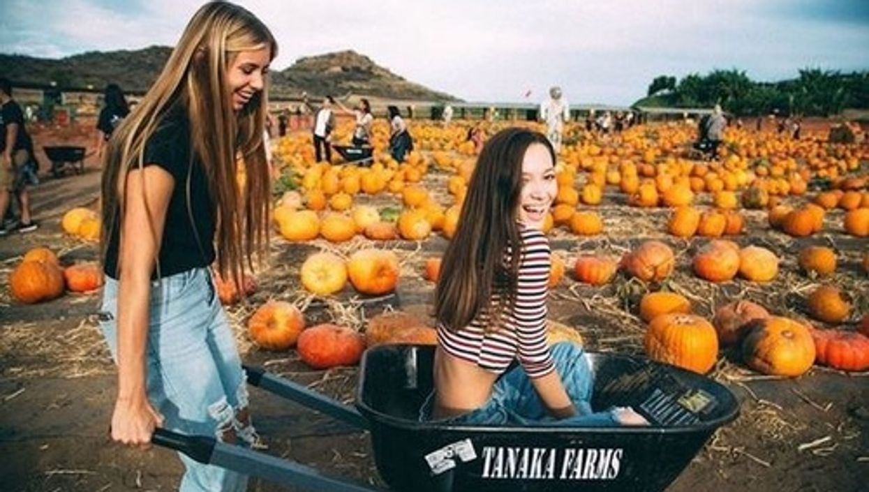 13 activités à faire pour profiter à fond du week-end de l’Action de grâce