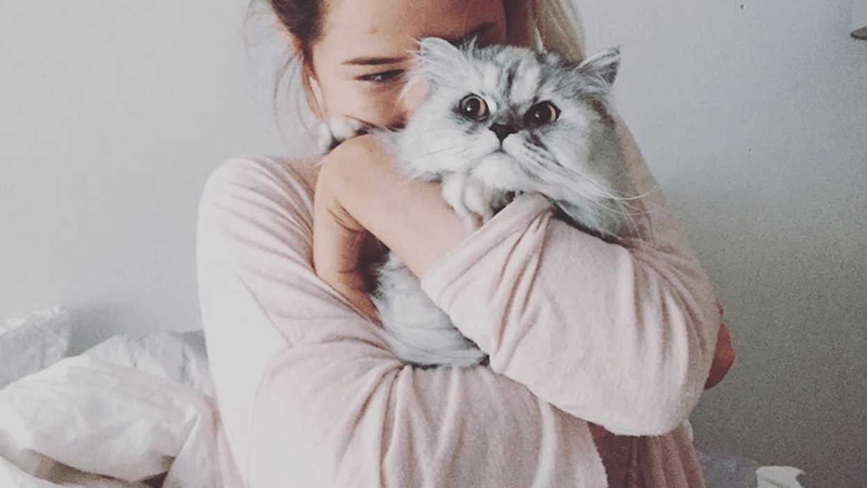 20 comptes Instagram des animaux les plus cutes de Montréal