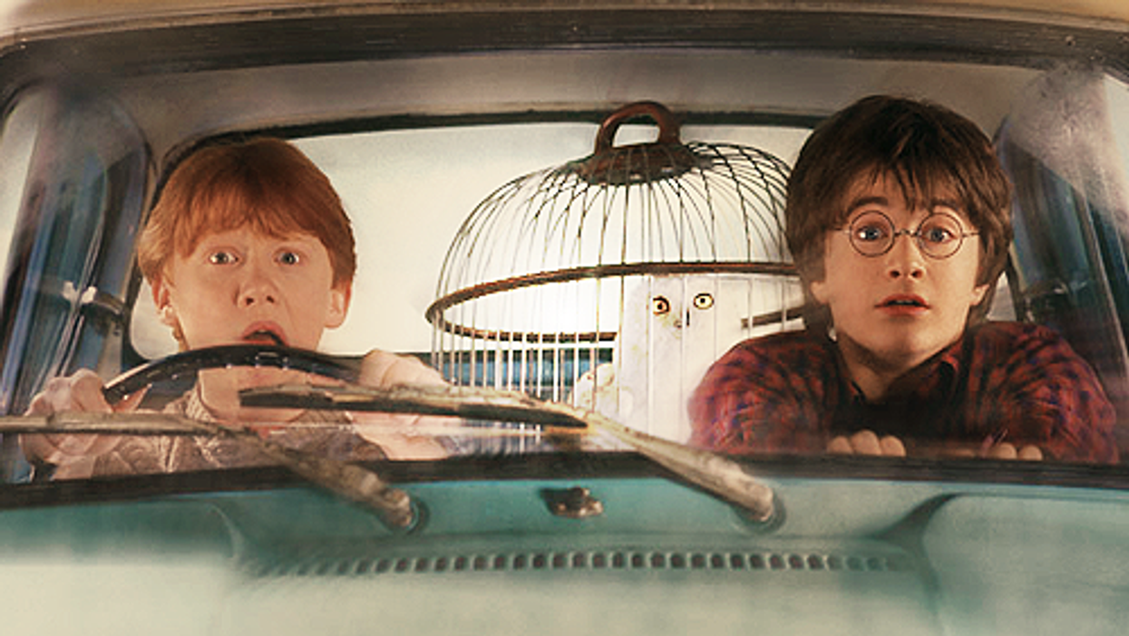 DEUX nouveaux livres Harry Potter sortent cet automne