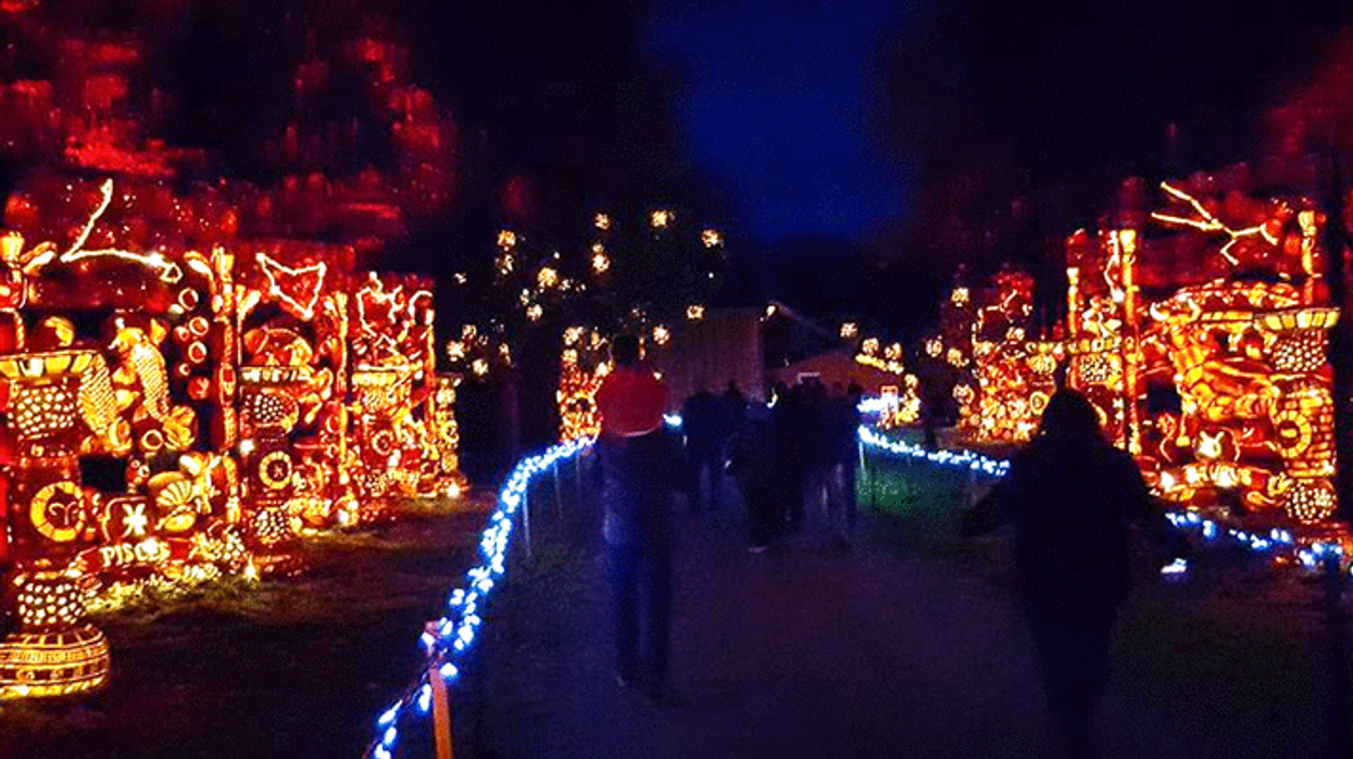 Le village de citrouilles le plus magique arrive pour l’automne près d'Ottawa