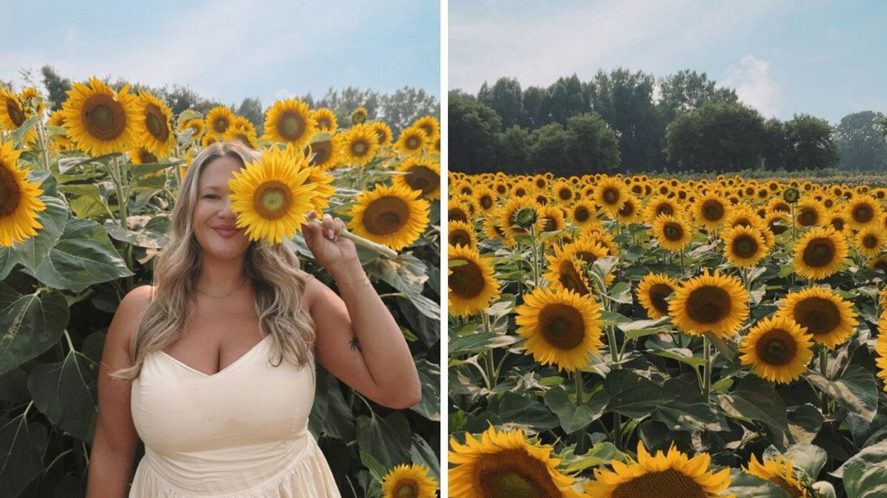 Izabelle Bee dans un champ de tournesols. Droite : un champ de tournesols.