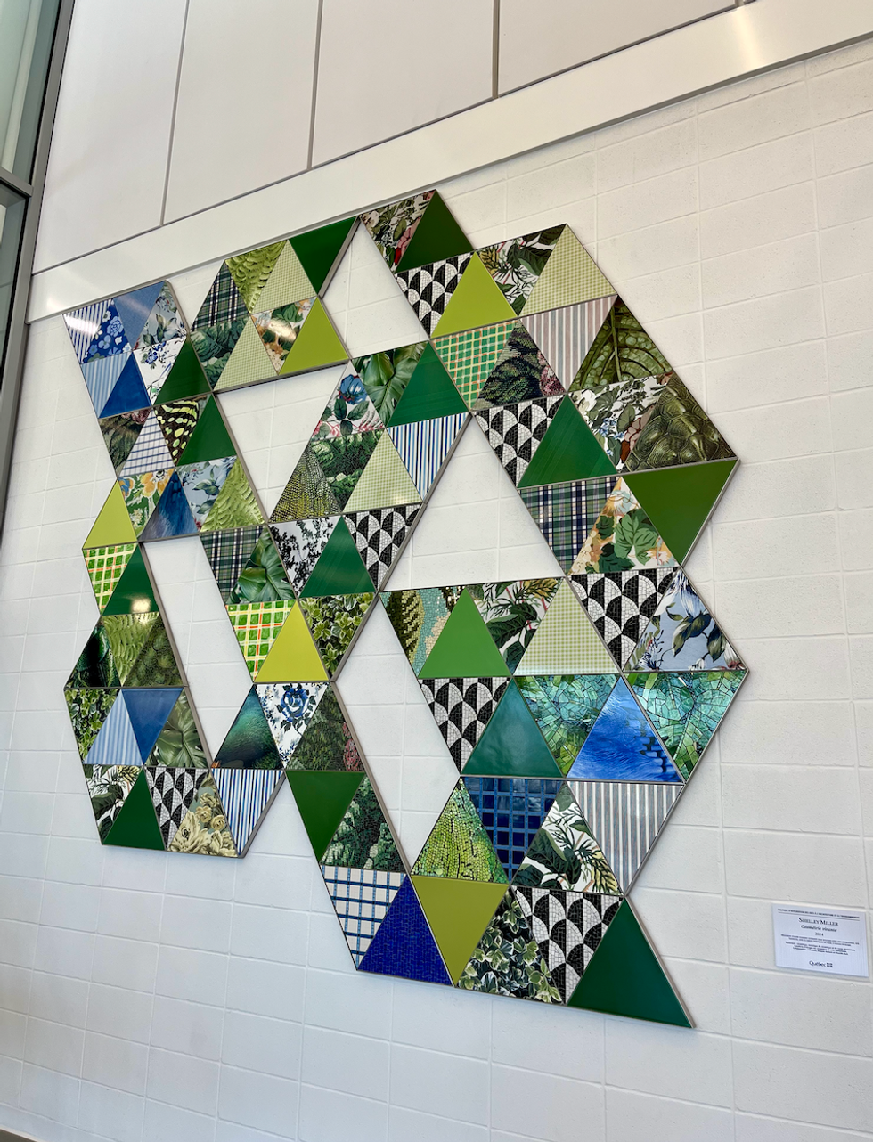 L'oeuvre G\u00e9om\u00e9trie vivante de l'artiste Shelley Miller.