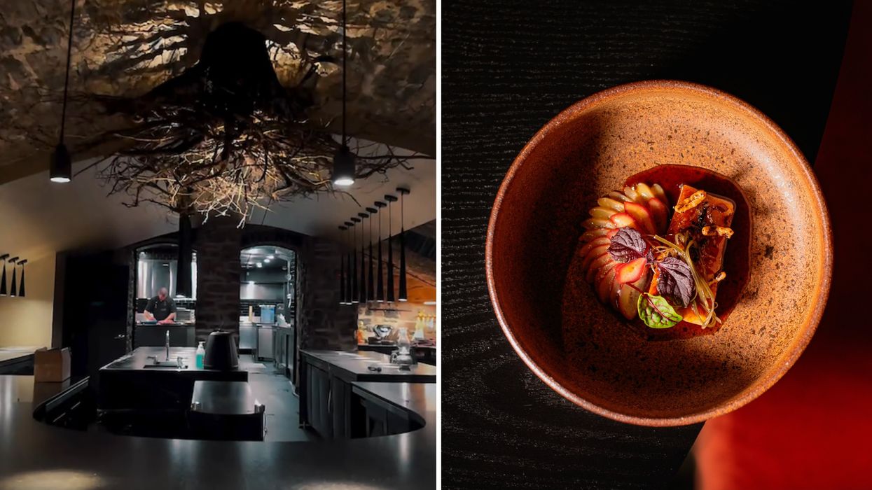 La cuisine de Tanière³. Droite : un plat de Tanière³.