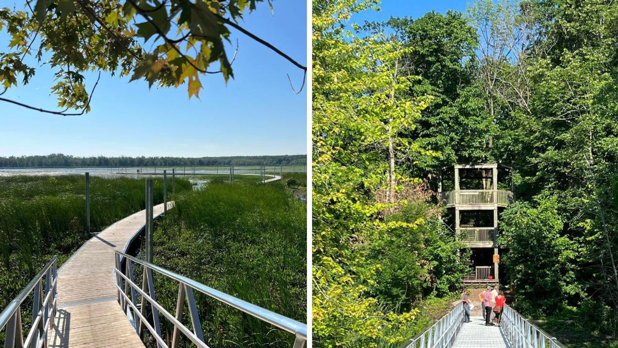 La nouvelle passerelle du parc national d'Oka.