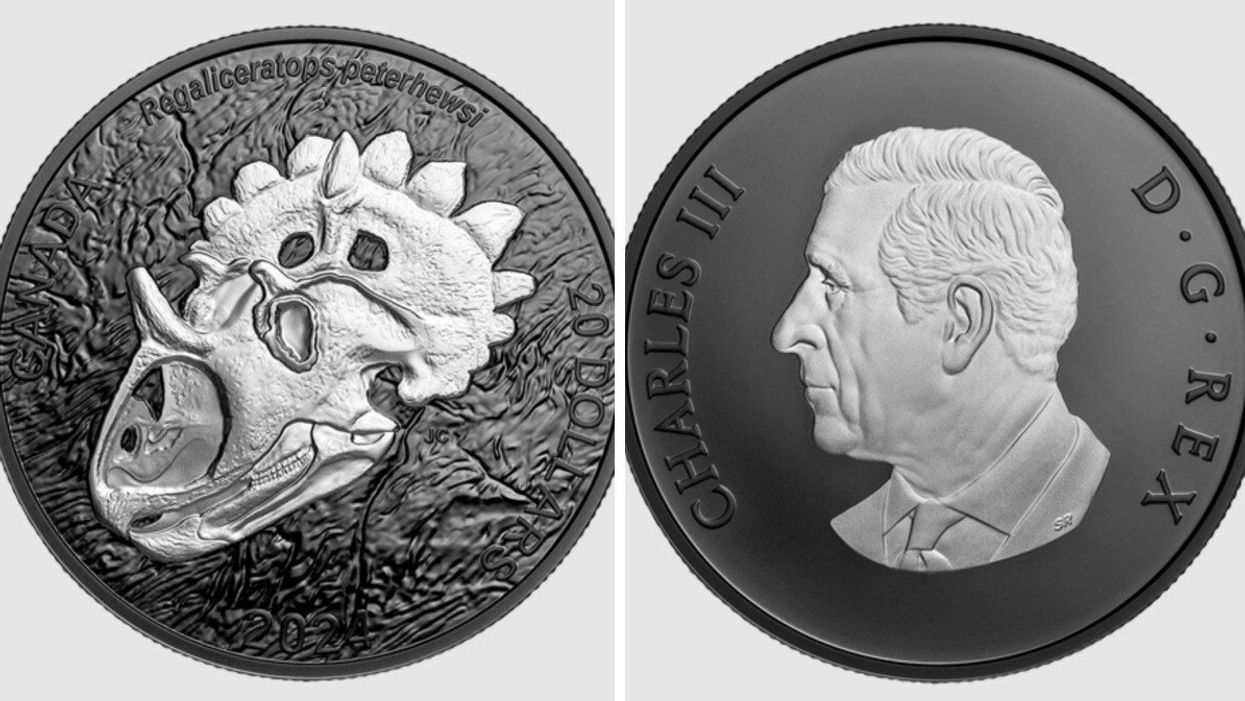 La nouvelle pièce de la Monnaie royale canadienne, ornée d'un Regaliceratops peterhewsi. Droite : L'autre côté, à l’effigie de Sa Majesté le roi Charles III.