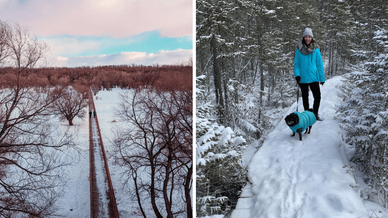 La passerelle du Parc écomaritime de l'Anse-du-Port vue de haut en hiver. Droite : Une personne avec son chien au Parc écoforestier de Johnville.