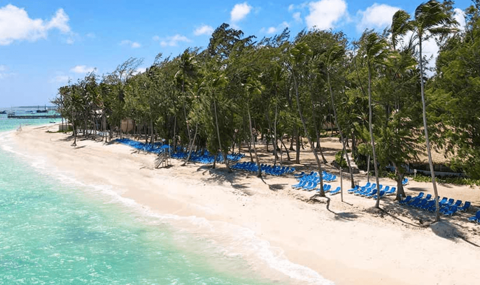 La plage, les chaises longues et les palmiers du Vista Sol Punta Cana.