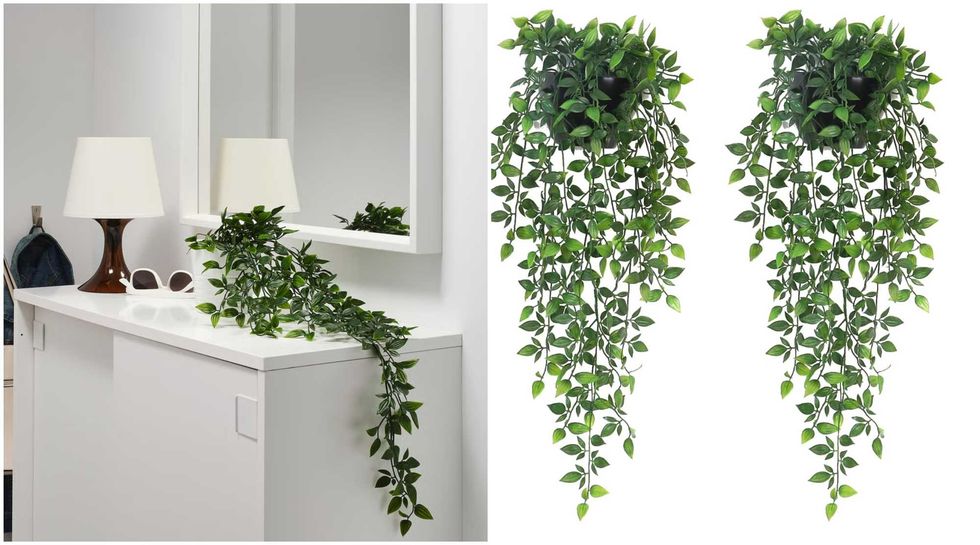 La plante artificielle du IKEA. Droite : Le duo de plante artificielles vendus sur Amazon.