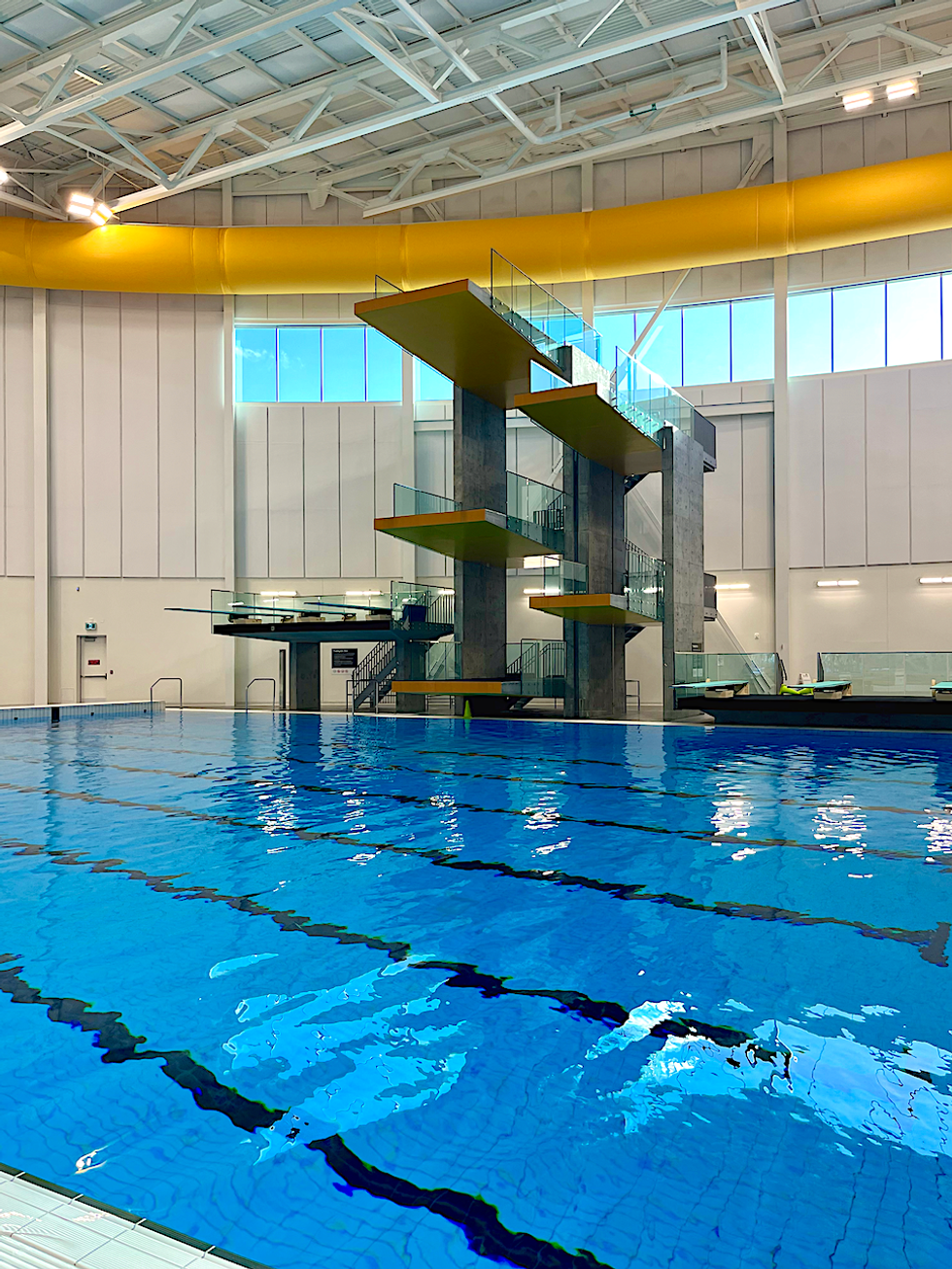 Le bassin de plongeon.