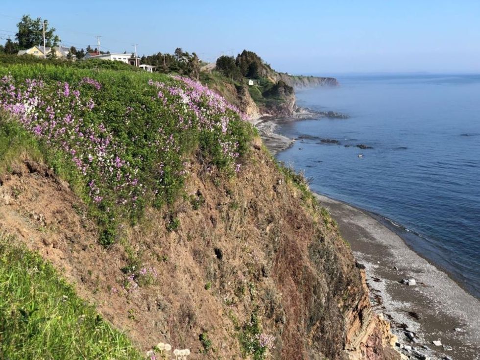 Le bord de l'eau en Gasp\u00e9sie.