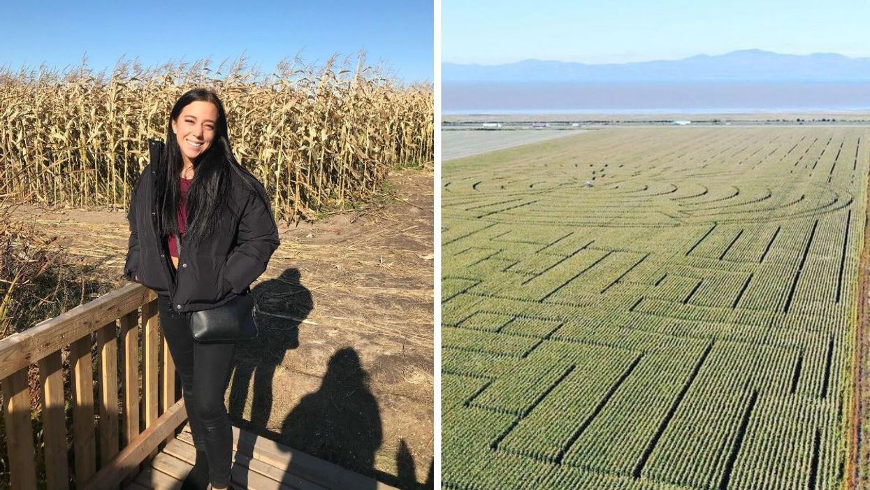 Le Grand labyrinthe Kamouraska.