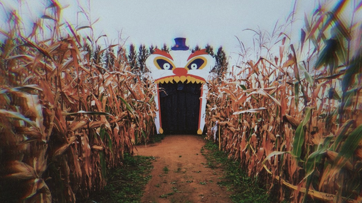 Le labyrinthe de maïs de nuit à la Ferme Guy Rivest, dans Lanaudière.