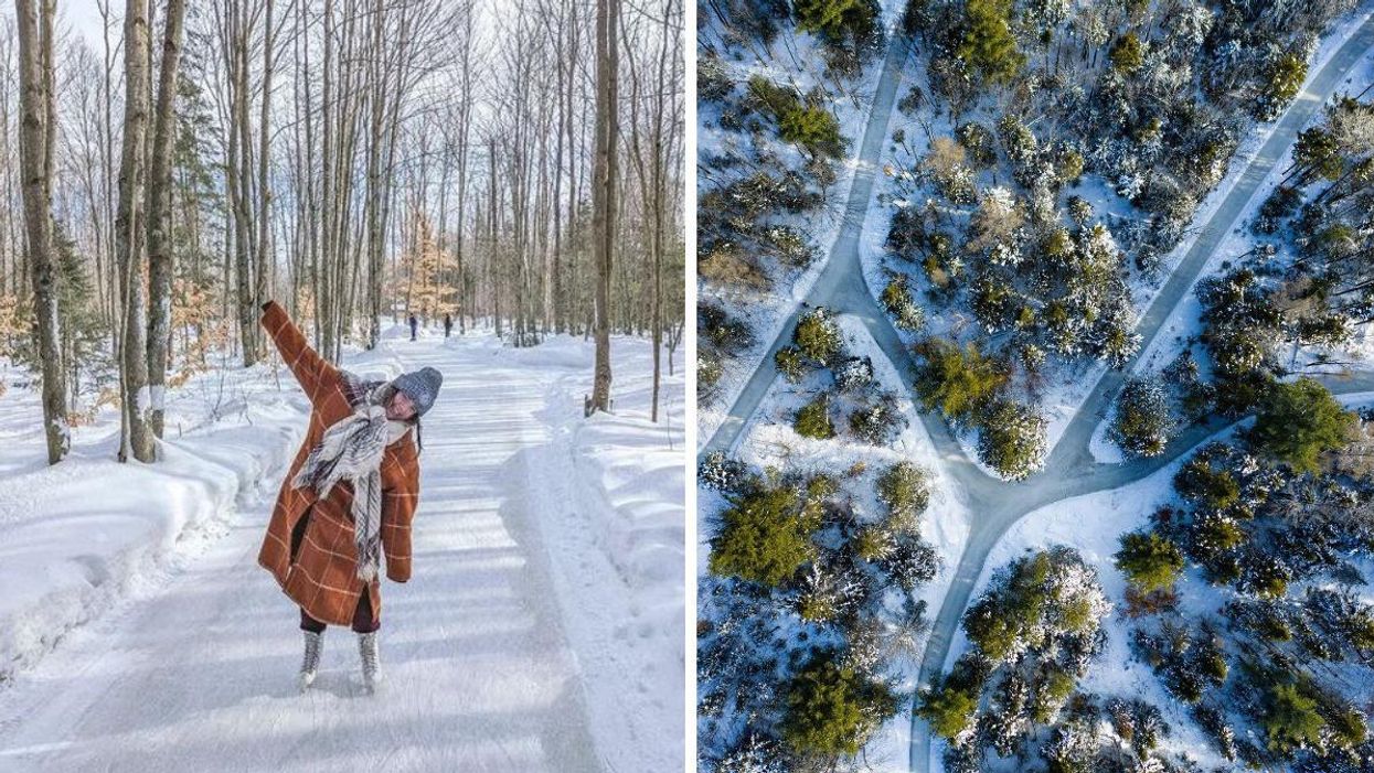 Le labyrinthe glacé du Domaine Enchanteur.
