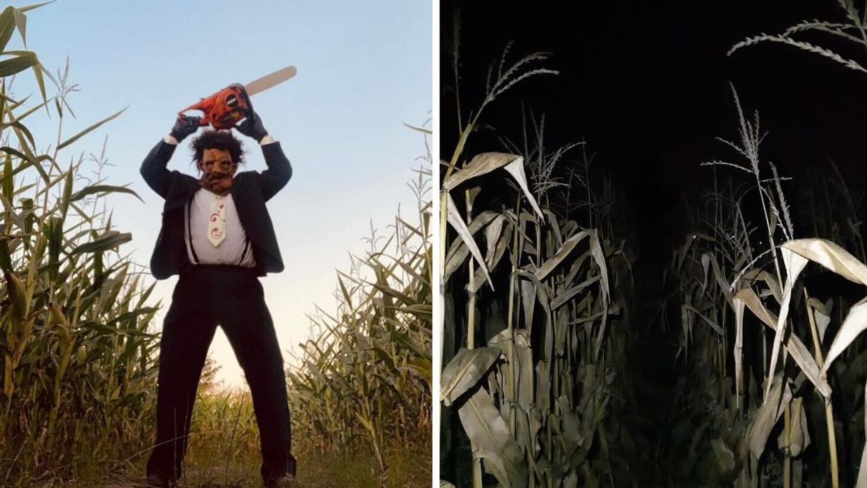 Le labyrinthe hanté de nuit de la Fraisière Lauzon et fils