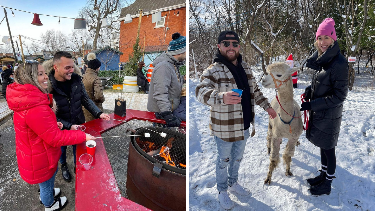 Le Marché de Noël et des Traditions de Longueuil. Droite : Les alpagas du Domaine Poissant.