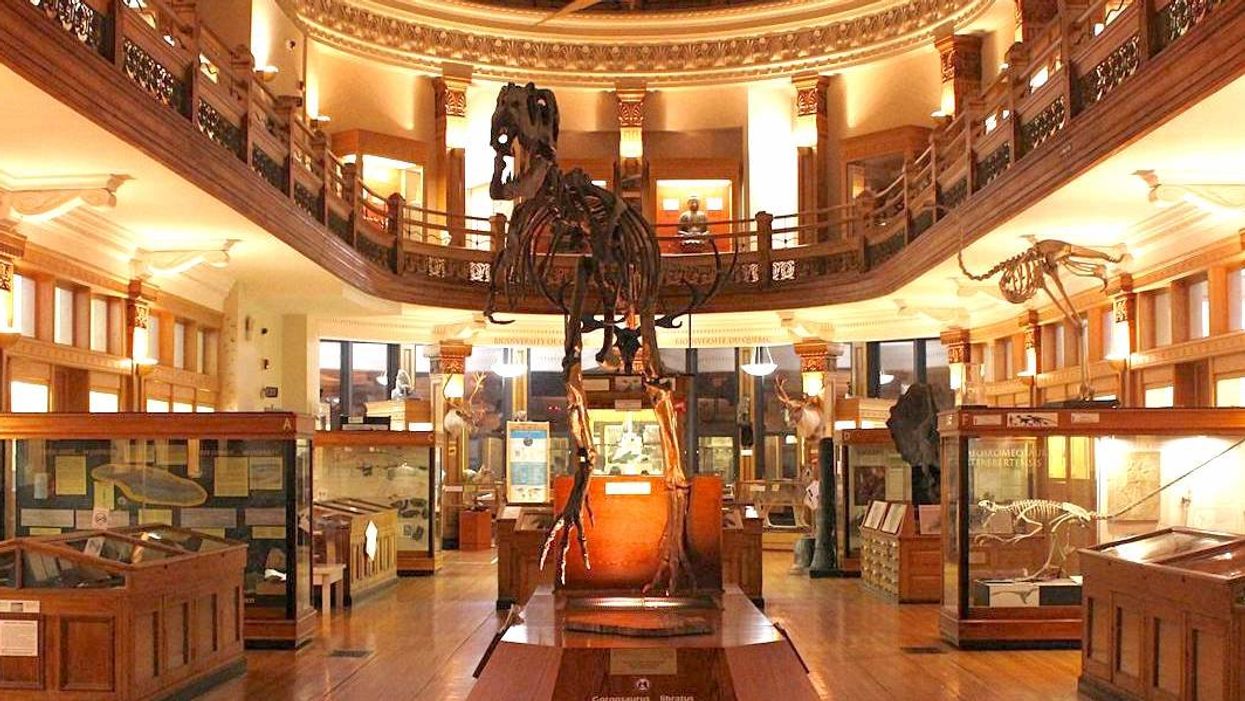 Le musée Redpath.
