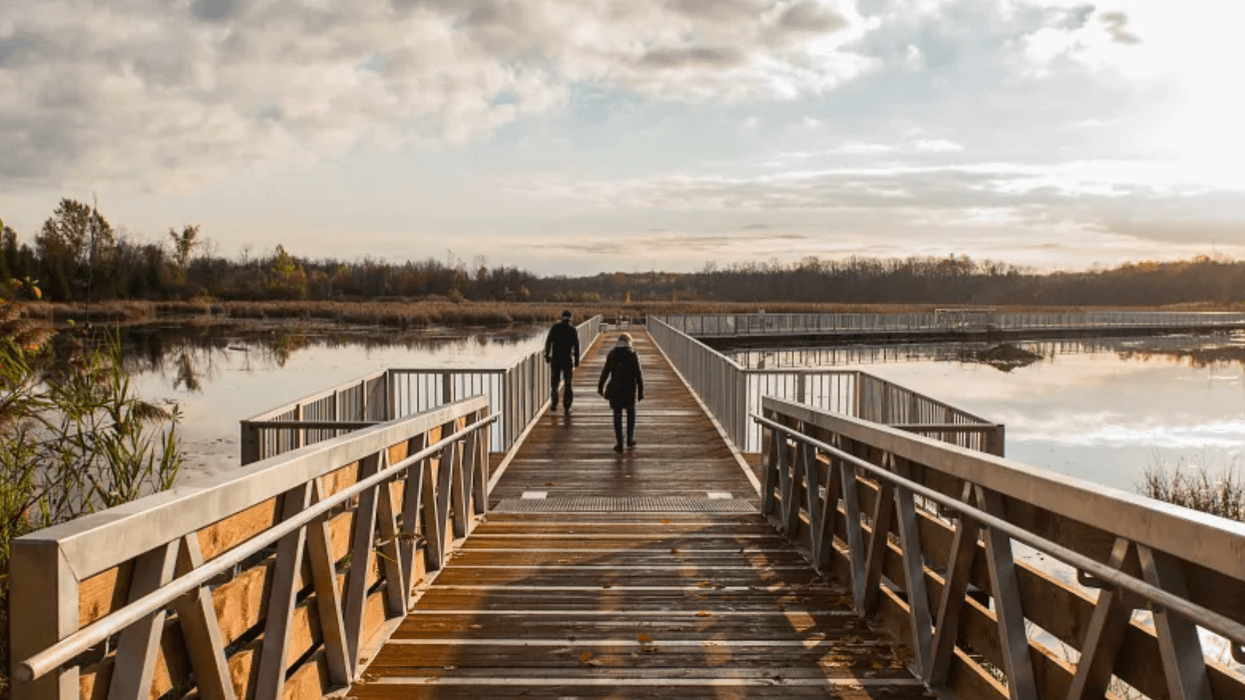 Le parc-nature du Bois-de-l’Île-Bizard.