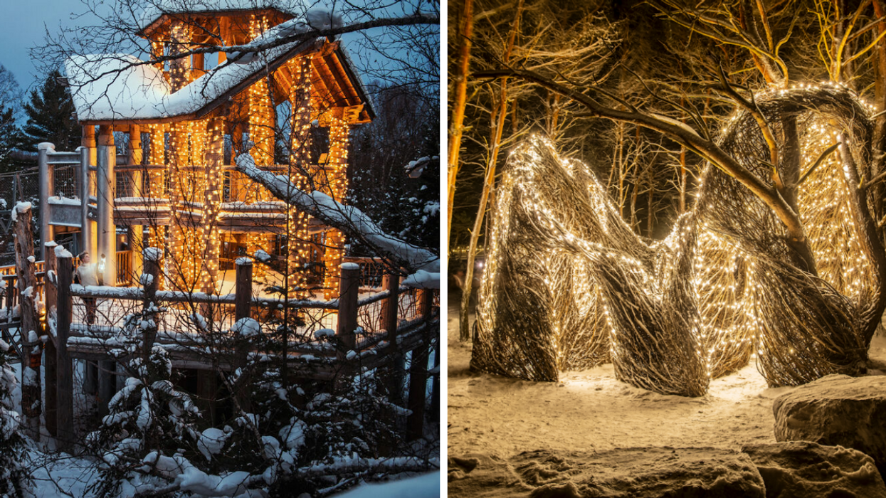Le parcours « Wild Light » au Wild Center dans l'État de New York.