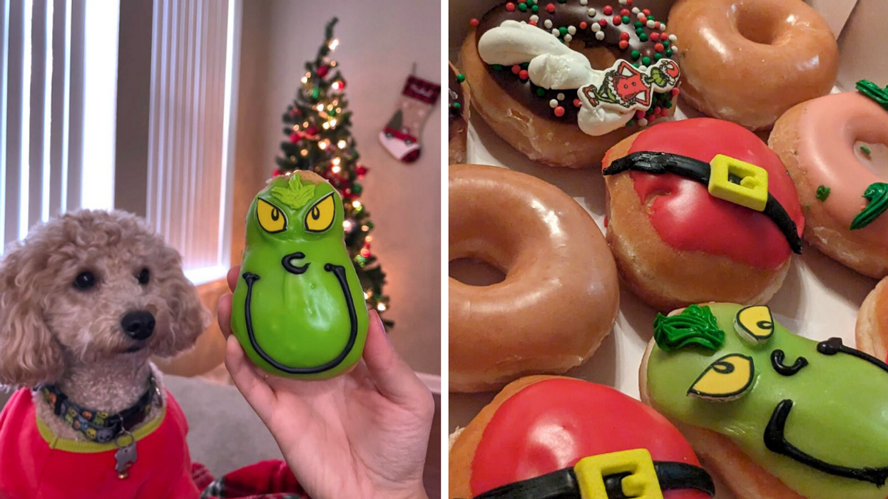 Le petit chien Musashi avec le beigne Le Grincheux du Krispy Kreme. Droite : Les beignes des Fêtes du Krispy Kreme.