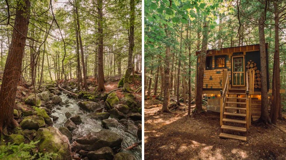 Le ruisseau. Droite : La fa\u00e7ade de la cabane.