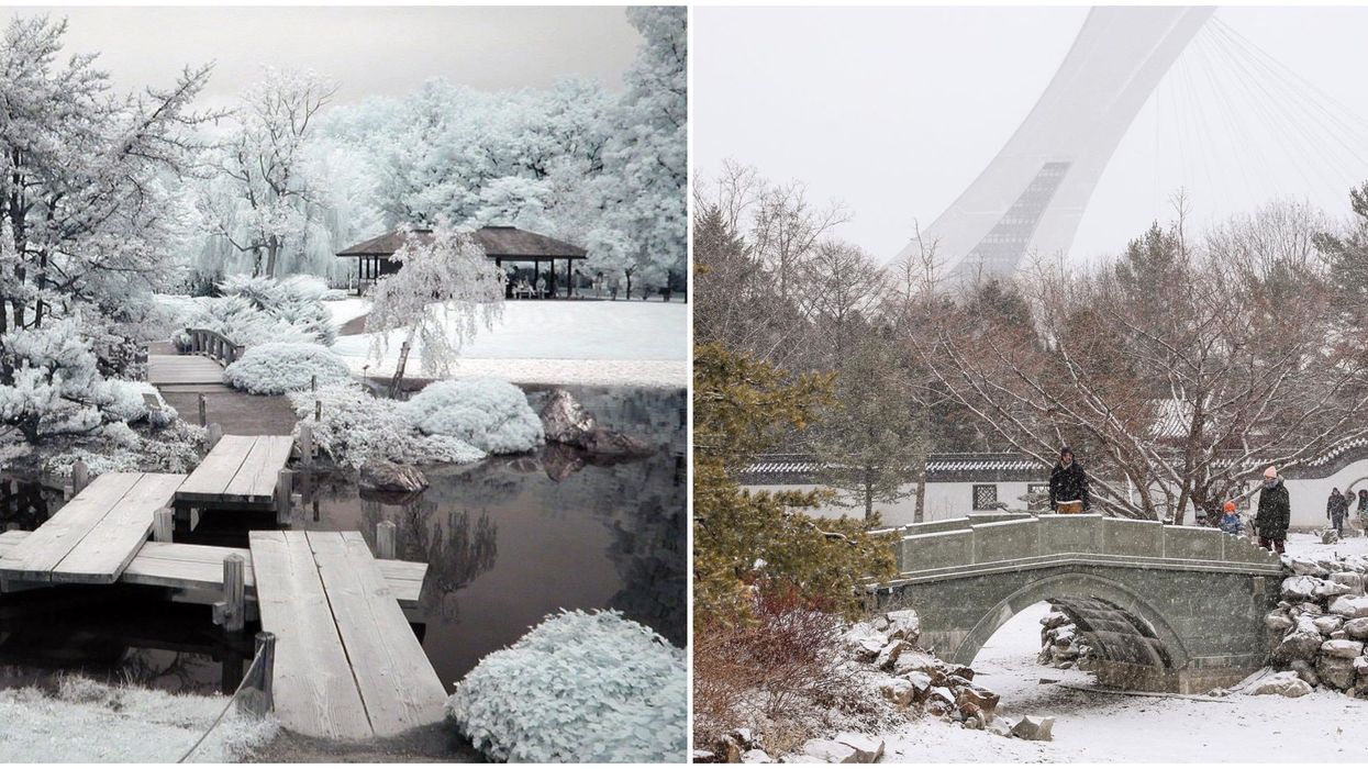 Les sentier extérieurs du Jardin Botanique