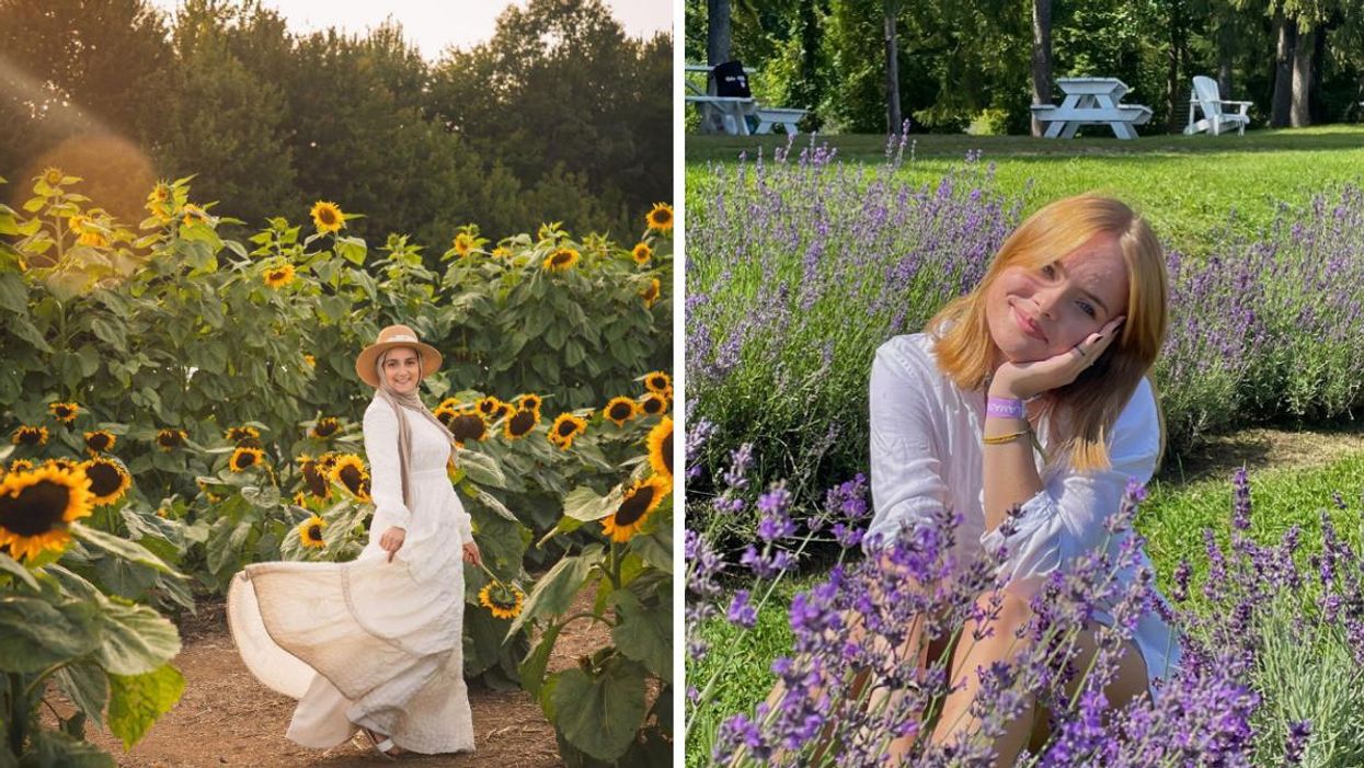 Les tournesols de La Belle de Coteau-du-Lac. Droite : La maison Lavande.
