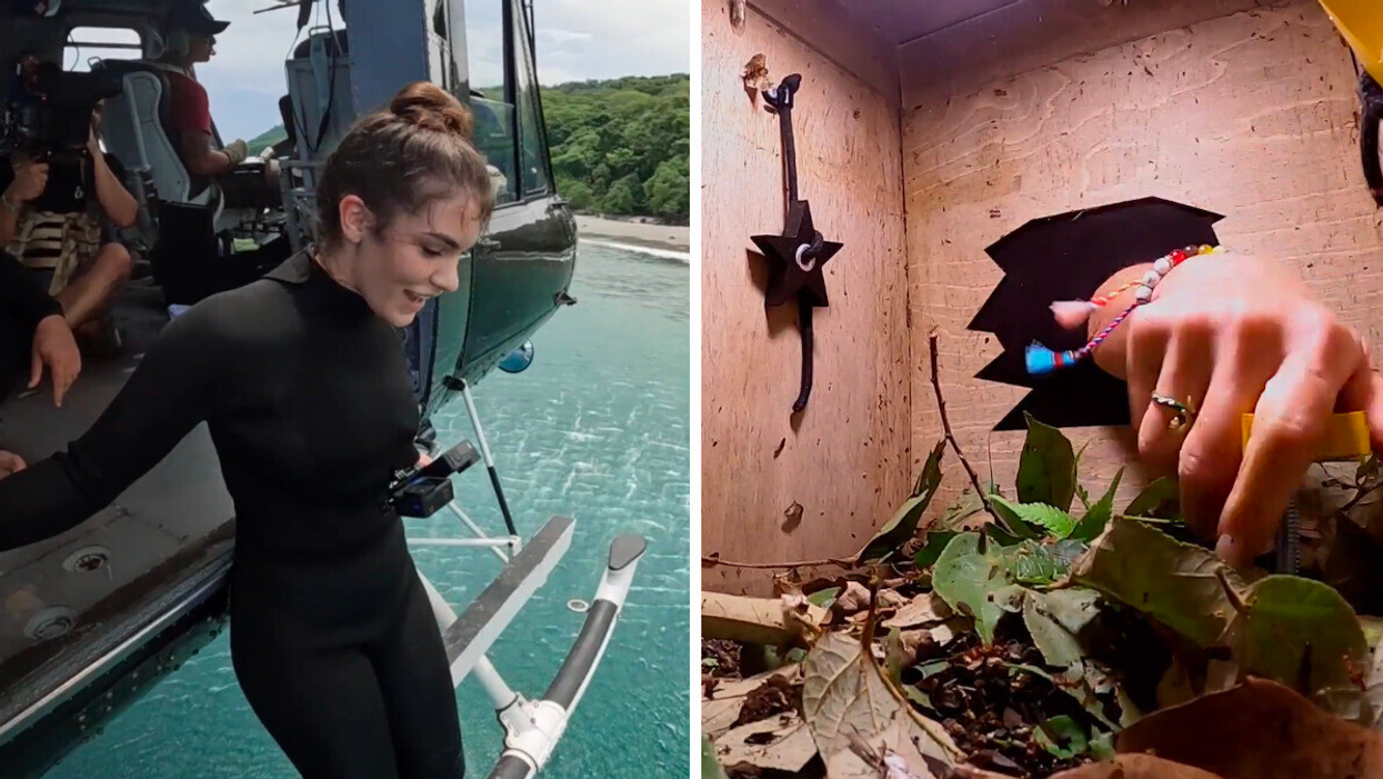 Livia Martin à Sortez-moi d'ici! Droite : Épreuve à Sortez-moi d'ici!