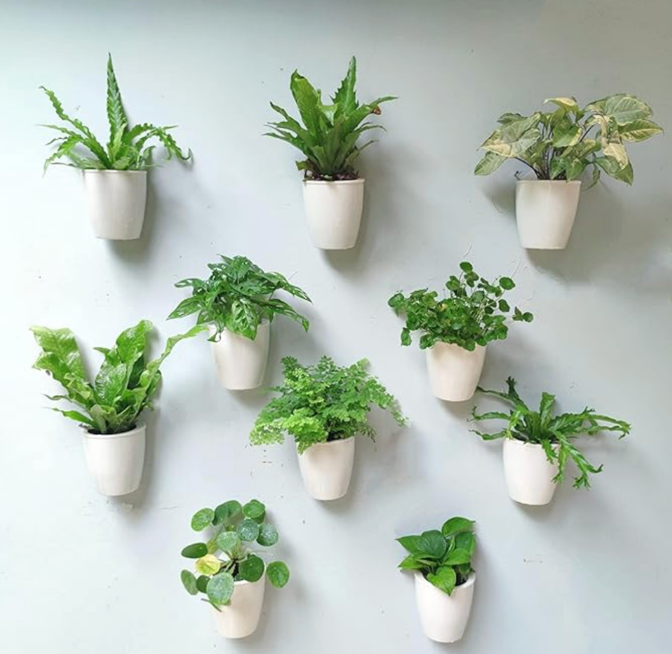 Lot de dix pots de fleurs muraux sur un mur blanc pour plantes d'int\u00e9rieur.