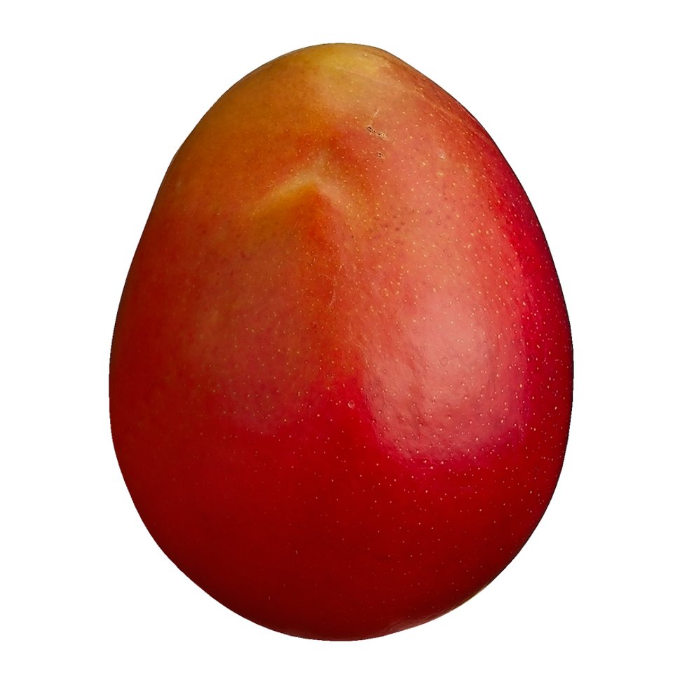 Mangues rouges sur le site du Maxi.