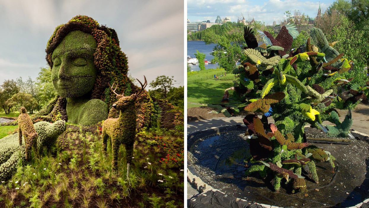 Mosaïculture œuvre Terre Mère : sculpture en forme de tête de femme et d'animaux. Droite : Mosaïculture oiseaux.