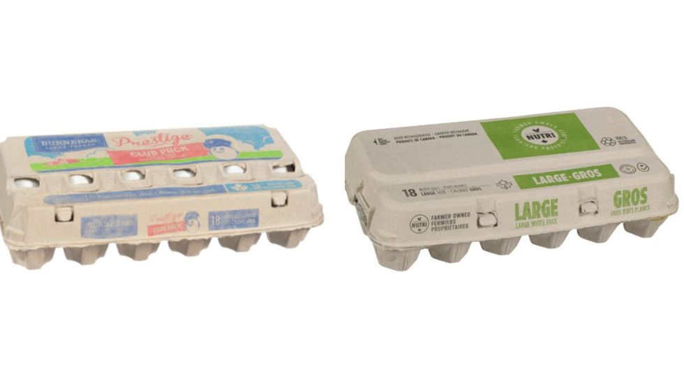 Paquets de 18 \u0153ufs de deux diff\u00e9rentes marques.