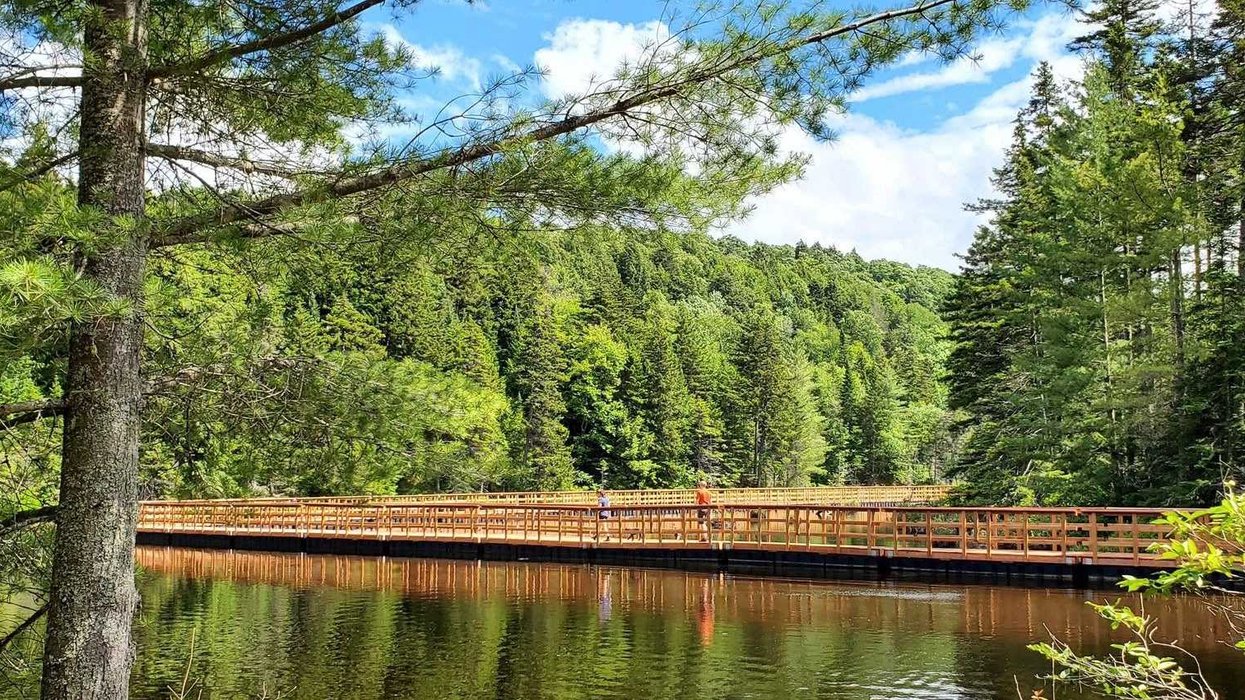Passerelle du Parc éco Laurentides au Québec.