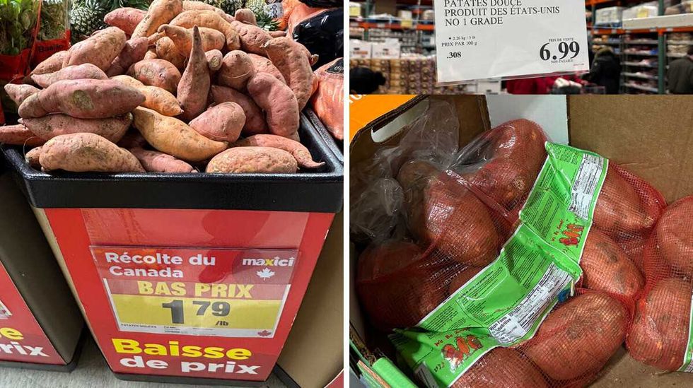 Patates douces en vente au Maxi. Droite : Patates douces en vente au Costco.