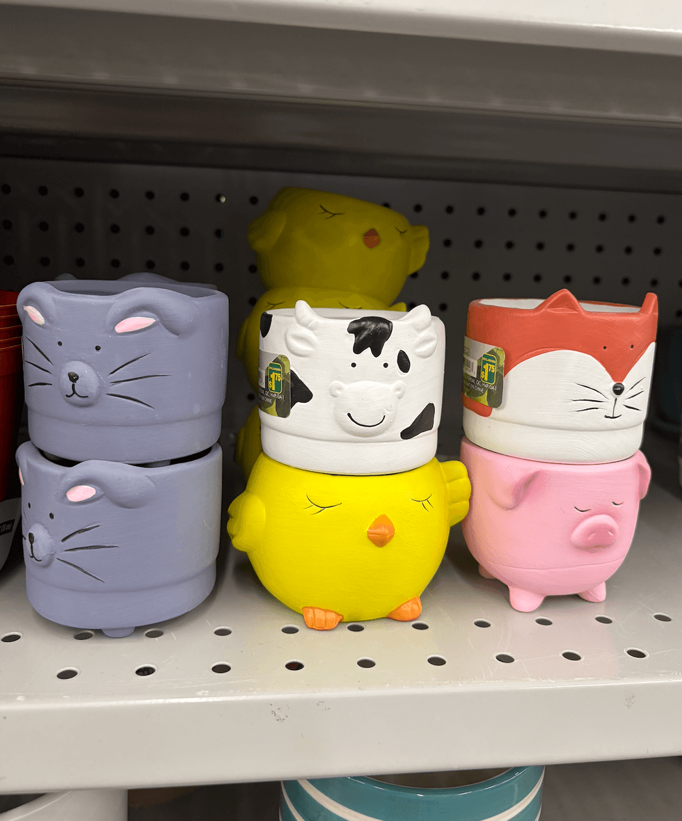 Petits pots de fleurs en c\u00e9ramique sur les tablettes du Dollarama.