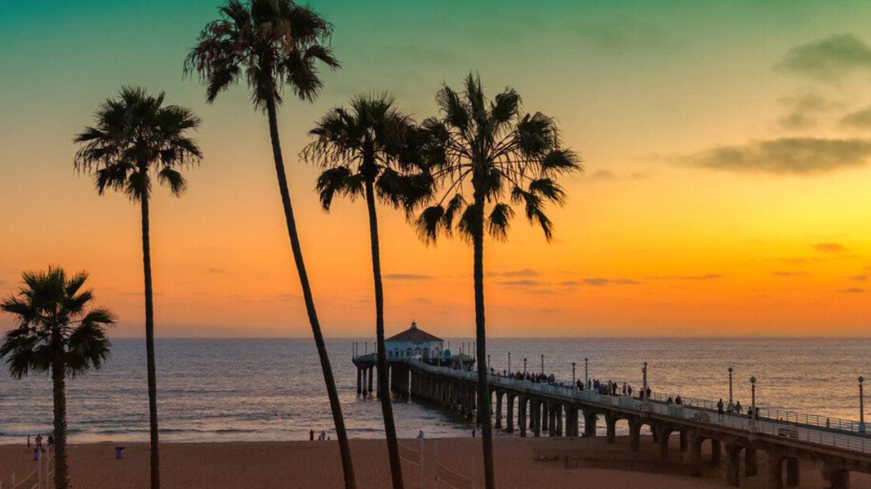 Photo d'un coucher de soleil et des grands palmiers devant la plage Venice Beach, à Los Angeles.