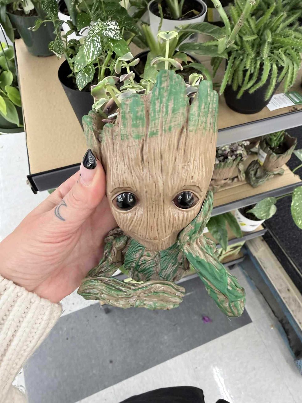 Plante dans un pot Groot en vente au Tigre G\u00e9ant pour 21,97 $.