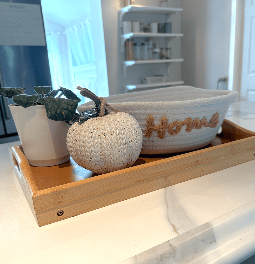 Plateau avec une plante et des articles du Dollarama.