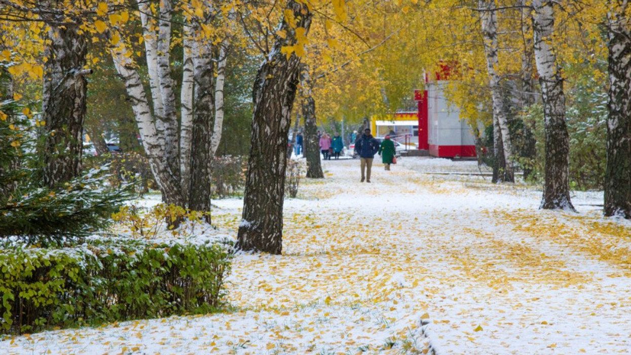 Première neige en automne.