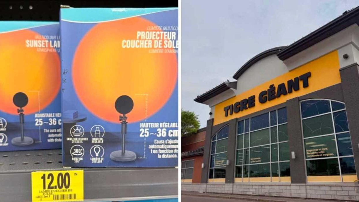 Projecteur de coucher de soleil Droite : Façade d'un magasin Tigre Géant.