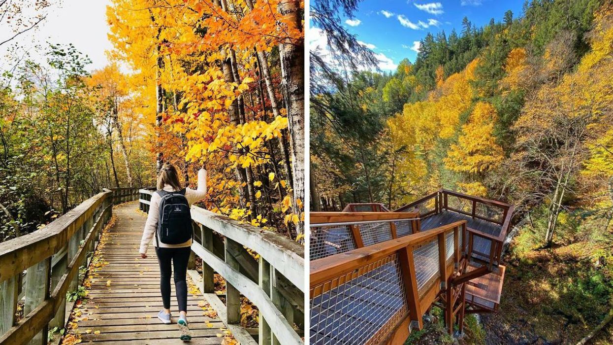 Randonnée pédestre à la réserve nationale de faune du Cap-Tourmente.