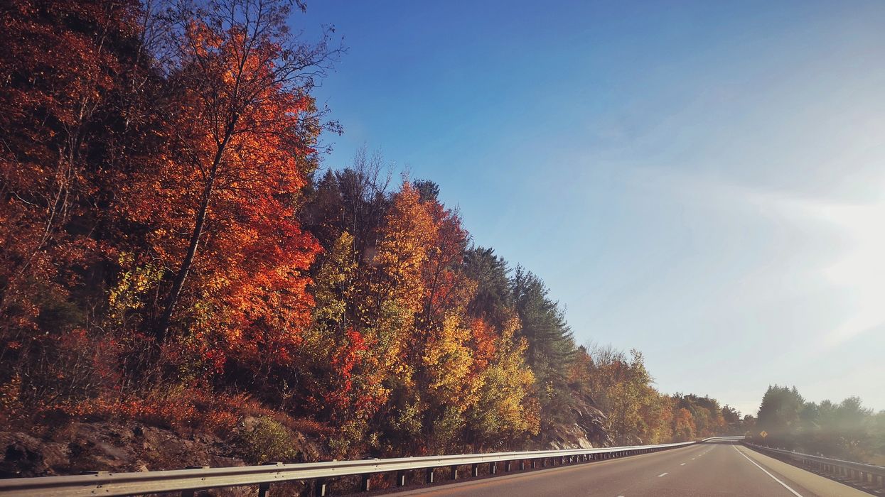 Route avec des couleurs d'automne.
