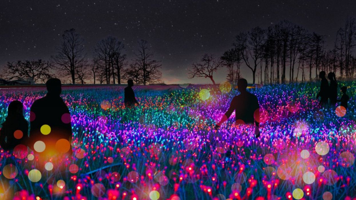 Symphonie des Fleurs à Terrebonne.