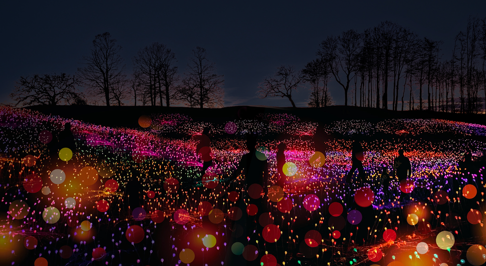 Symphonie des Fleurs \u00e0 Terrebonne.