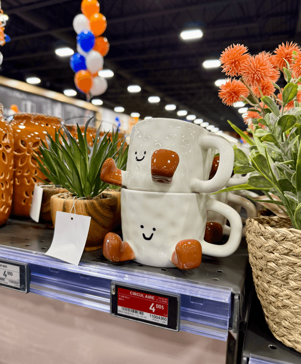Tasse et petite plante artificielle vendus au Canac.