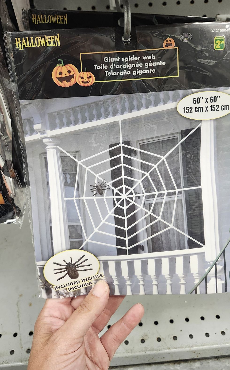 Toile d'araign\u00e9e g\u00e9ante.