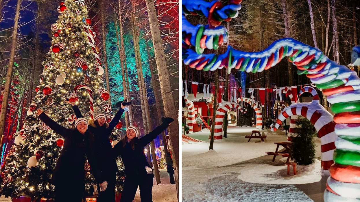 Trois personnes devant un sapin de Noël illuminé. Droite : Les décors dignes du Grinch de Frima à Woodooliparc. .