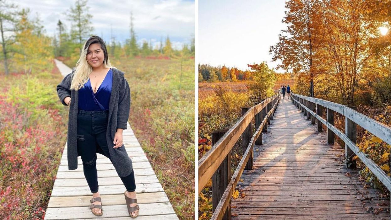 Tu peux te promener sur cette passerelle à 2 h de Montréal pour décrocher de la ville