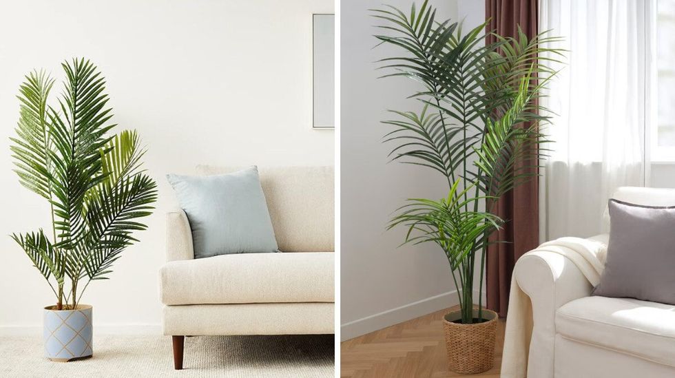 \u200bAmazon Basics Palmier artificiel d'Amazon. Droite : FEJKA plante artificielle en pot du IKEA.