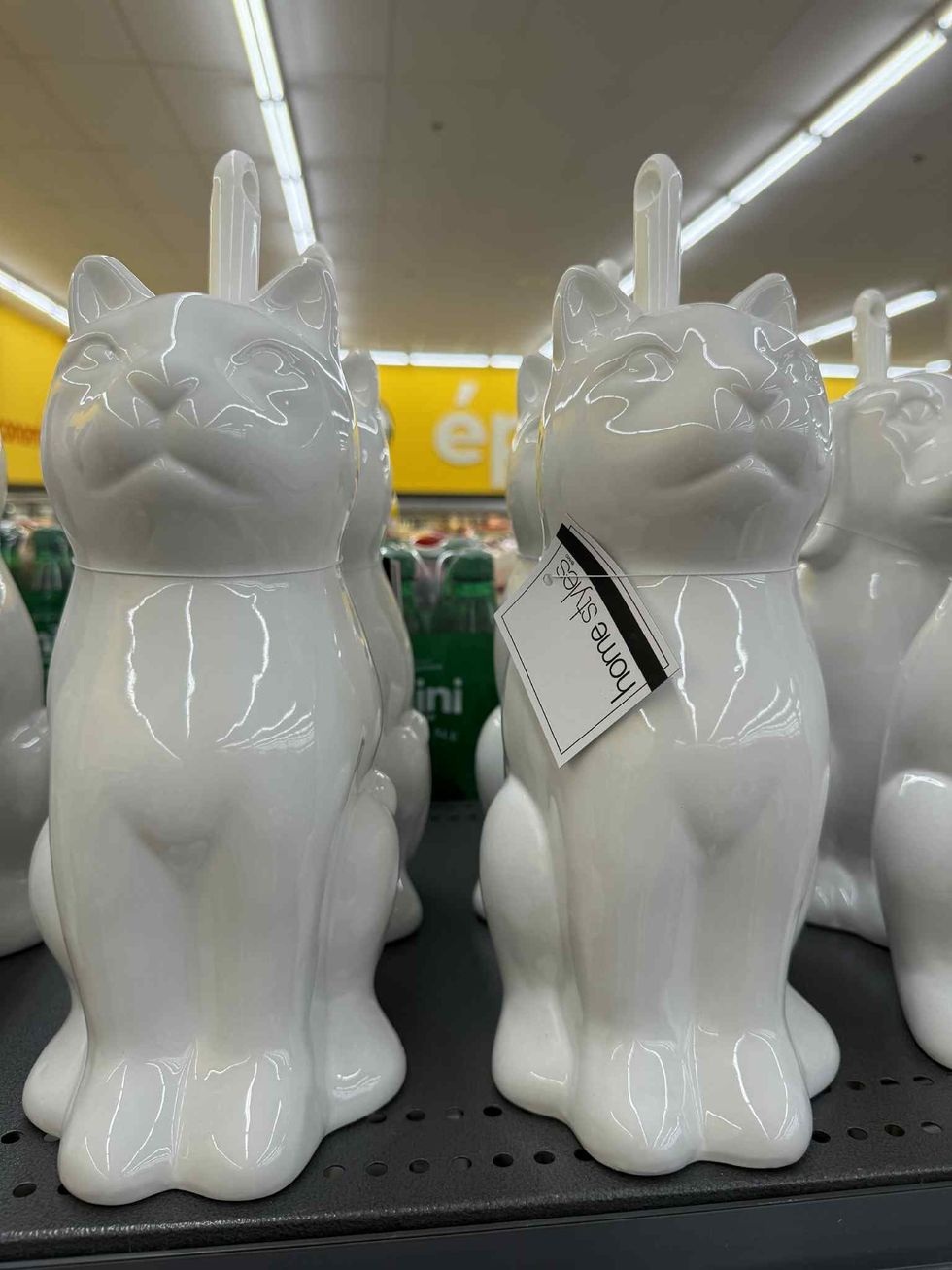 \u200bBrosse \u00e0 cuvette chat en c\u00e9ramique en vente pour 12 $ chez Tigre G\u00e9ant.