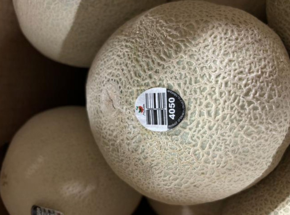 \u200bCantaloups de marque Malichita.